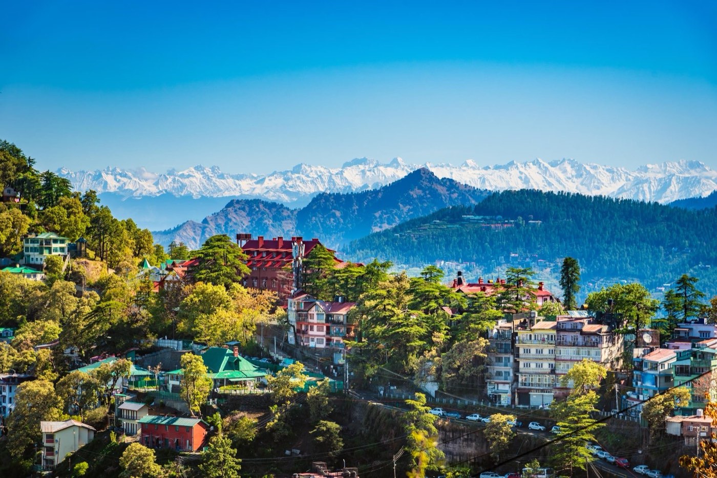 Shimla town on a hillside under a blue sky