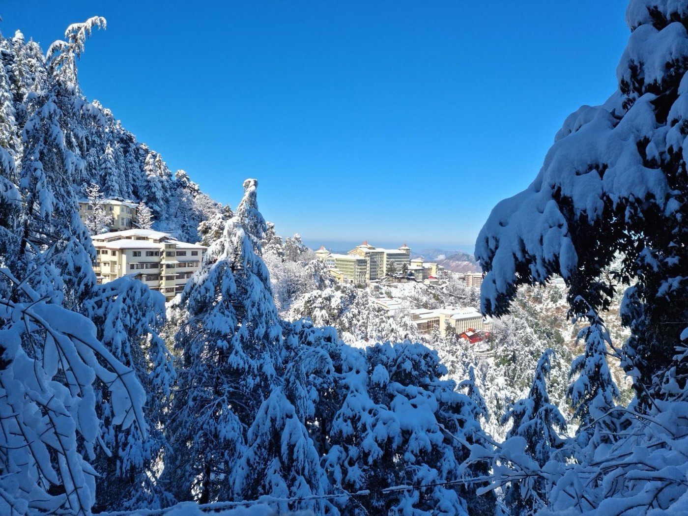 Winter snow package Dharamshala McLeodganj tour
